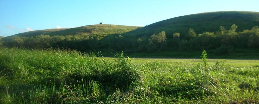 
            Фотография Мартемьяновской