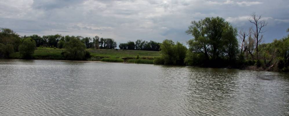 
            Фотография Студенка