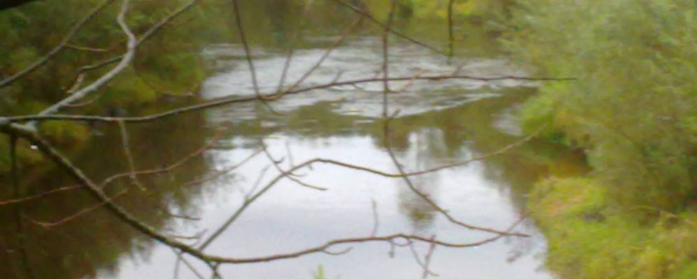 
            Фотография Горятино