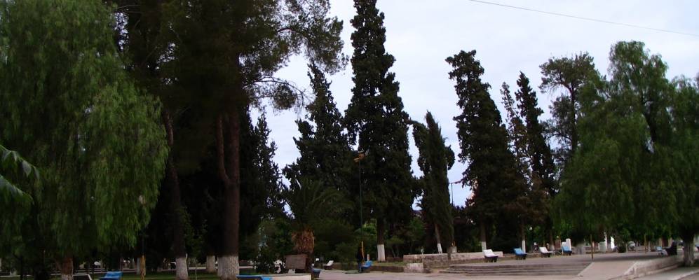 
            Фотография Тиногасты