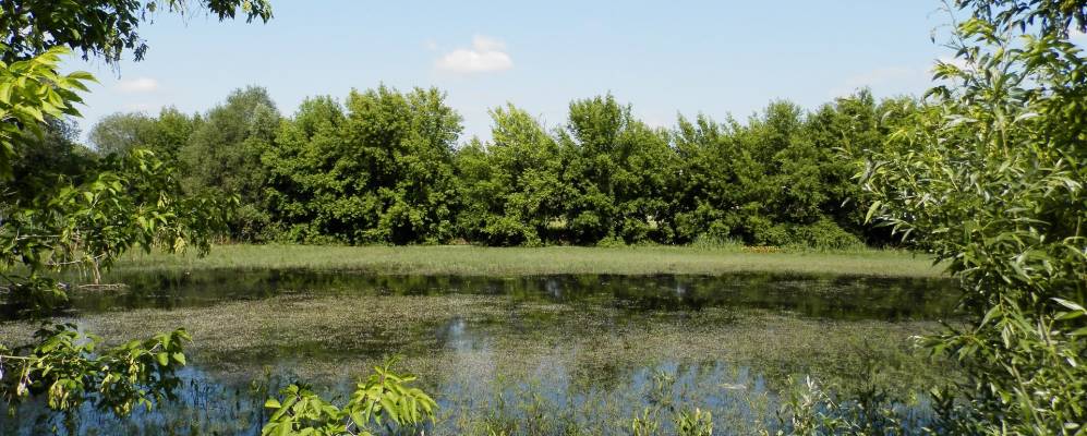 
            Фотография Пацал