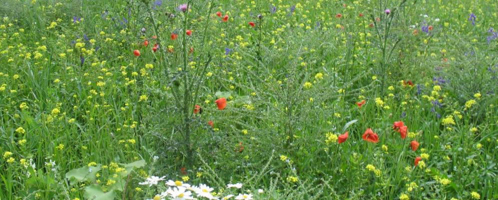 
            Фотография Рудника