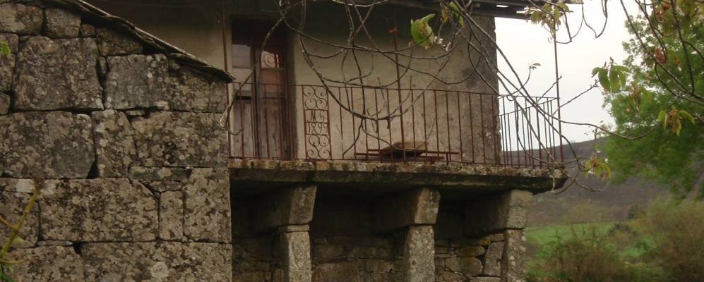 
            Фотография Досона