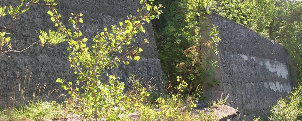 
            Фотография Берчето