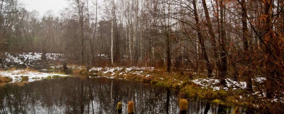 
            Фотография урочища Озеры