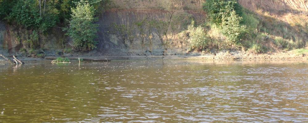 
            Фотография деревни Исаковичи