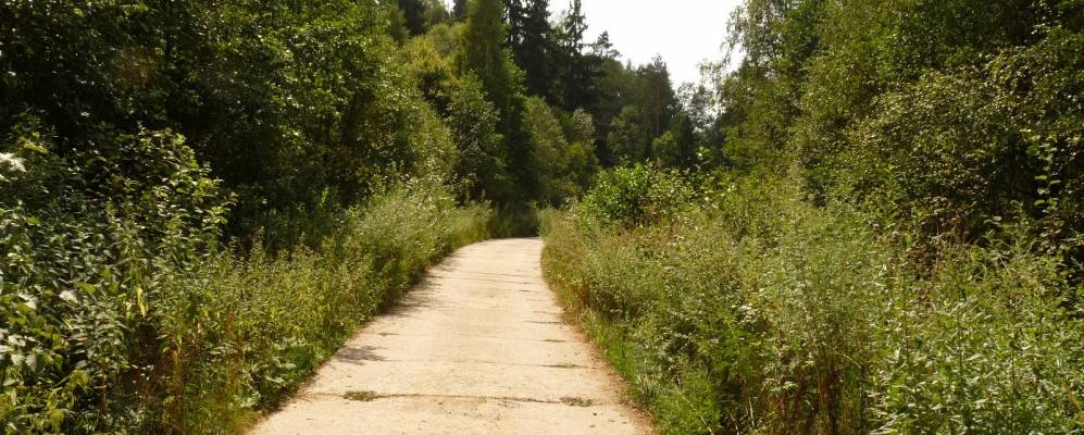 
            Фотография Сославино