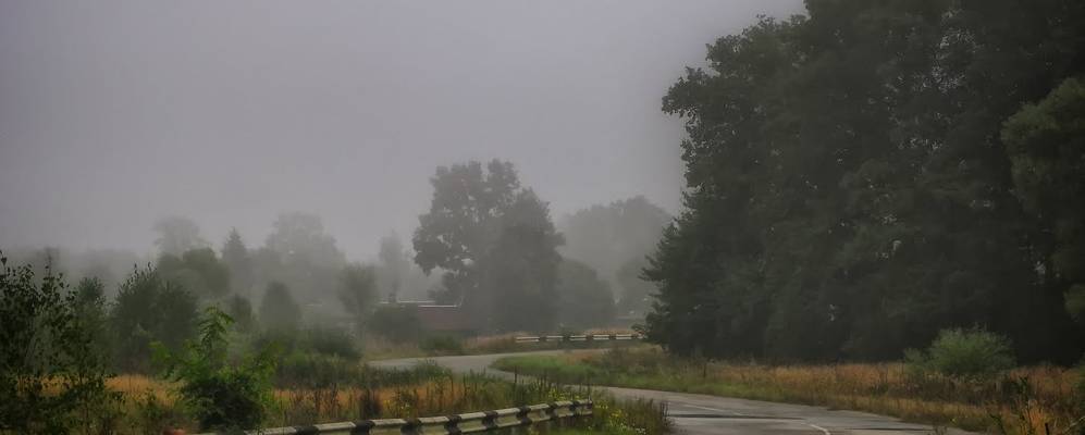 
            Фотография Познопалы