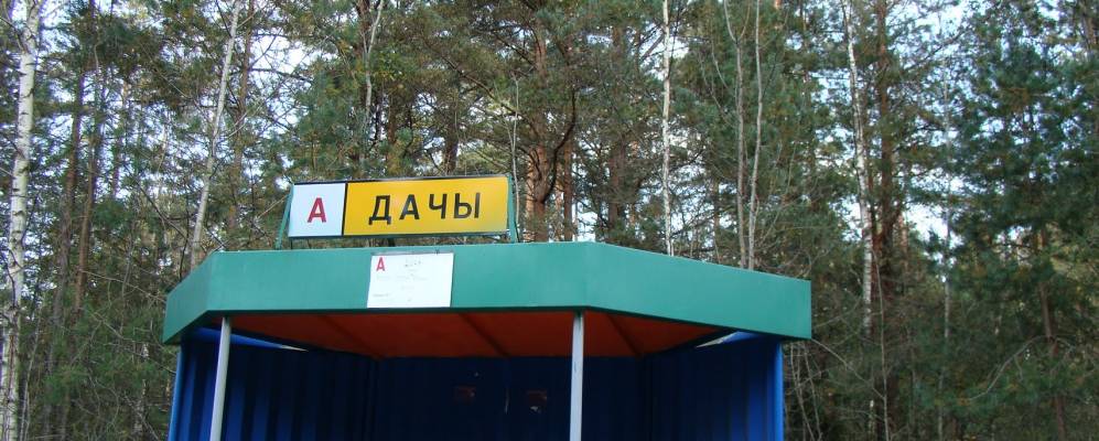 
            Фотография Ворота