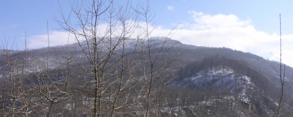 
            Фотография Бас-Гордалей