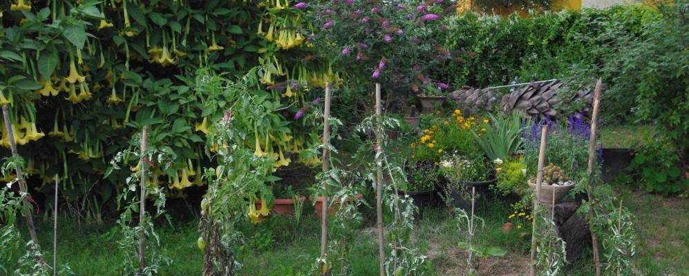 
            Фотография Альхемеси