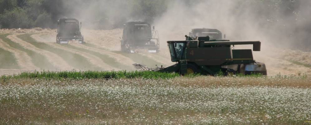 
            Фотография Monmouth