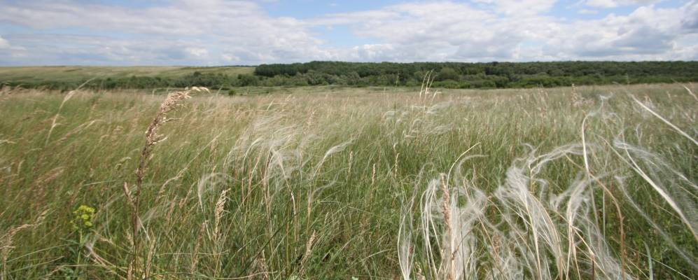 Фотография Верхней Вязовки