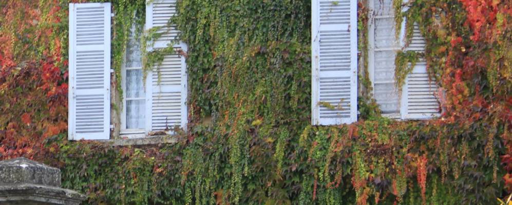 
            Фотография Сен-Сатюрнена