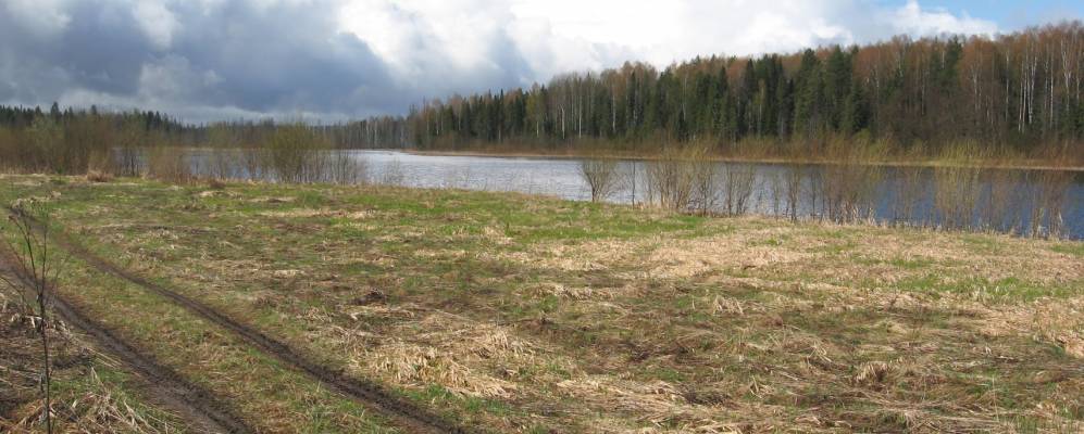 Фотография Глинного