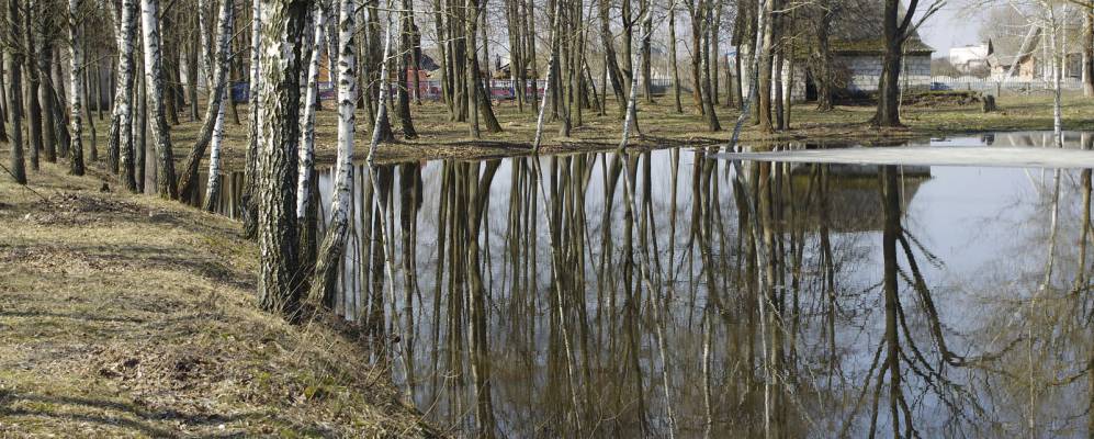 
            Фотография Летешина