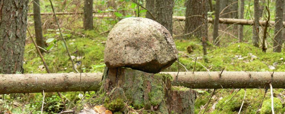 
            Фотография Кузово