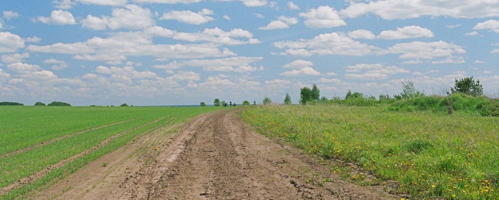 
            Фотография Романовки