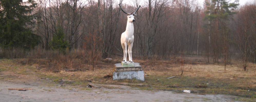 Фотография Кожевниц