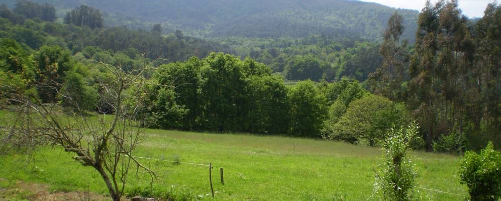 
            Фотография Селановы