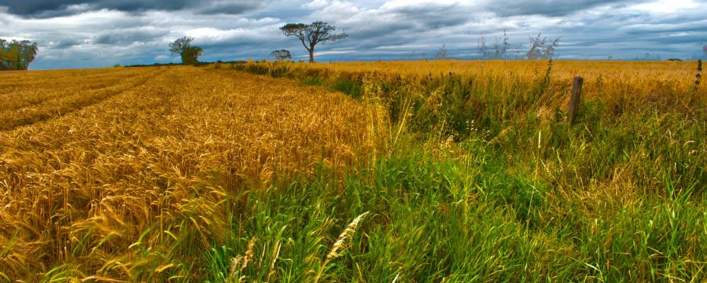 
            Фотография Крауфордсберна