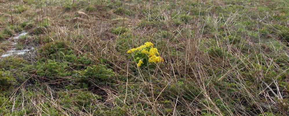 
            Фотография Ивкино