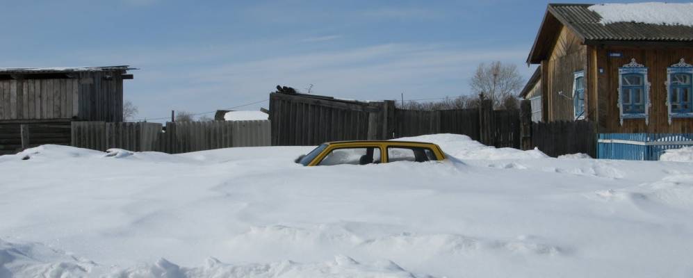 Фотография Логи