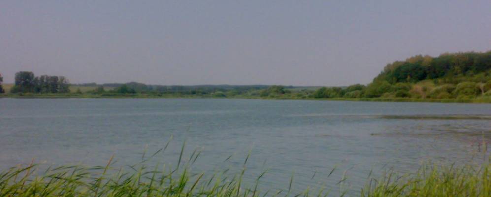 
            Фотография Литомгино