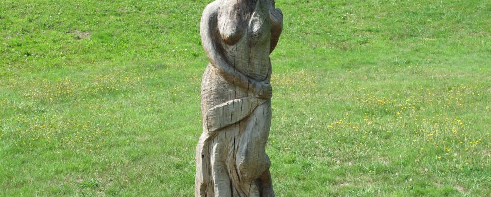 
            Фотография Плесе