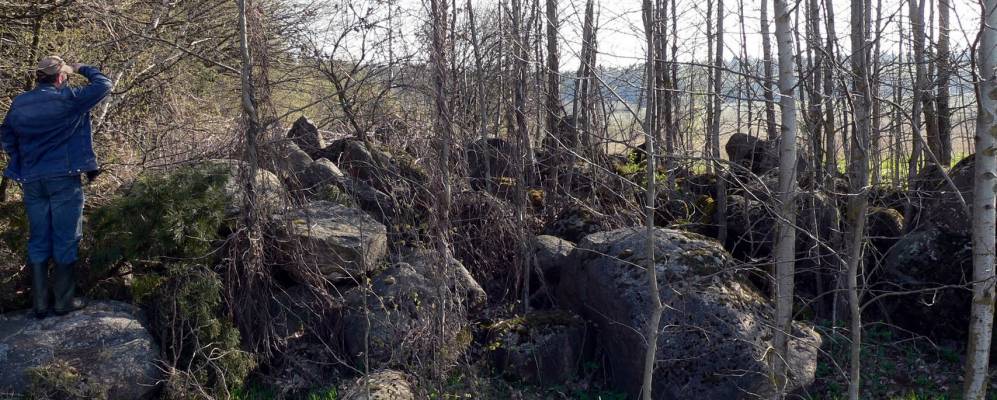 
            Фотография деревни Вошкаты