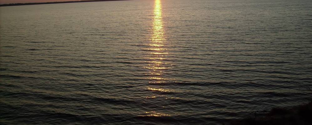 
            Фотография Андроново