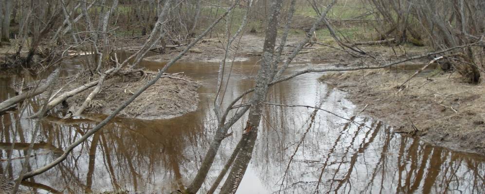 
            Фотография Полежаево