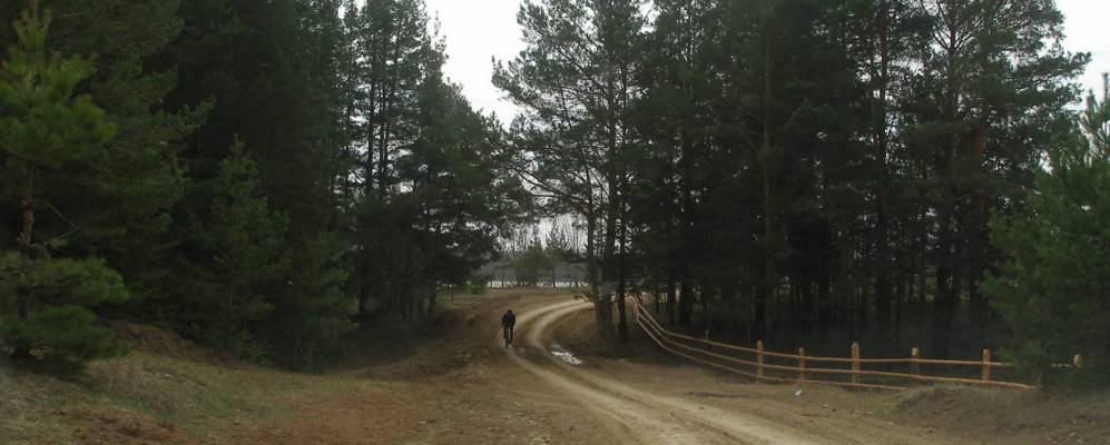 
            Фотография Сокольского Лесничества