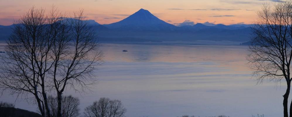 
            Фотография Сероглазки