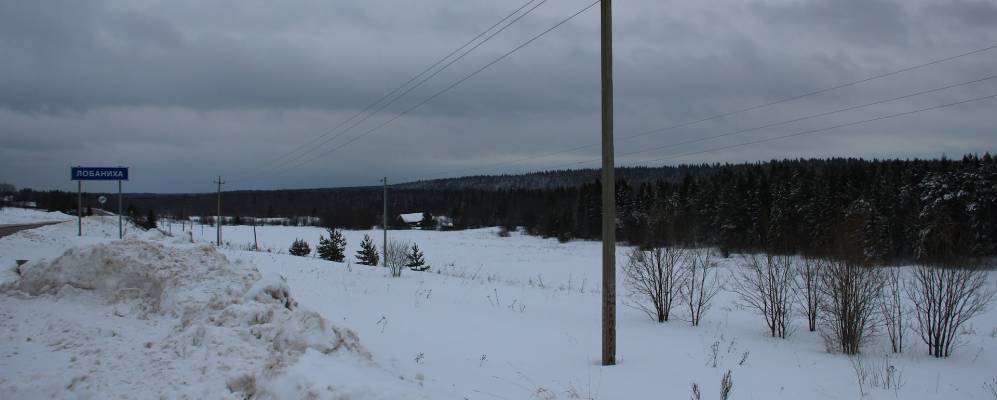 
            Фотография Запольной