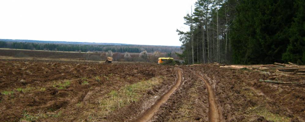 Фотография Зудов