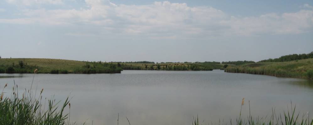 
            Фотография Владимирова