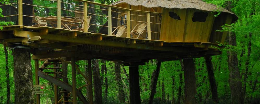 
            Фотография Манье