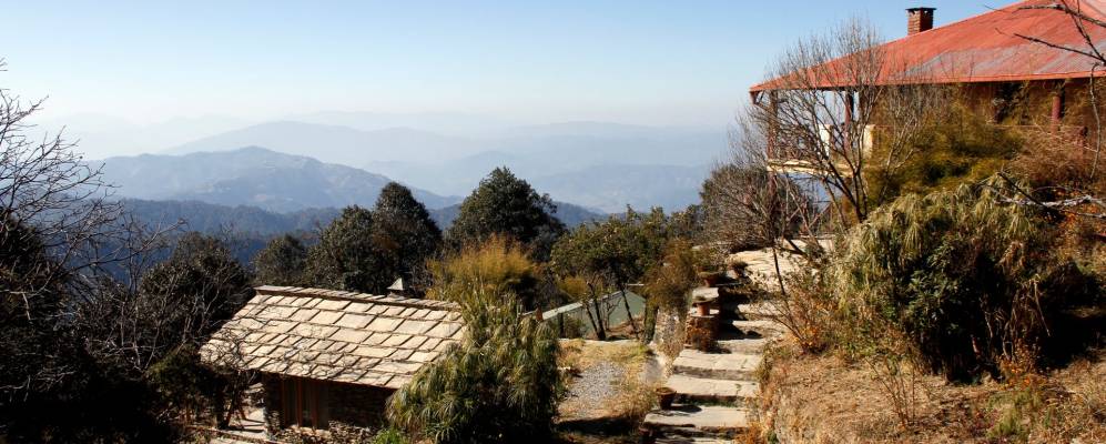 
            Фотография Бинсара