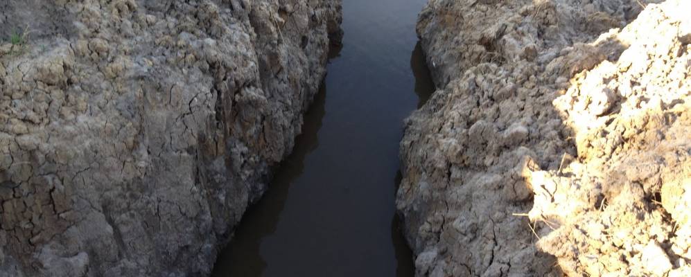 
            Фотография Иоакама