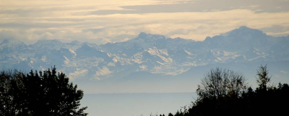 
            Фотография Штауфена