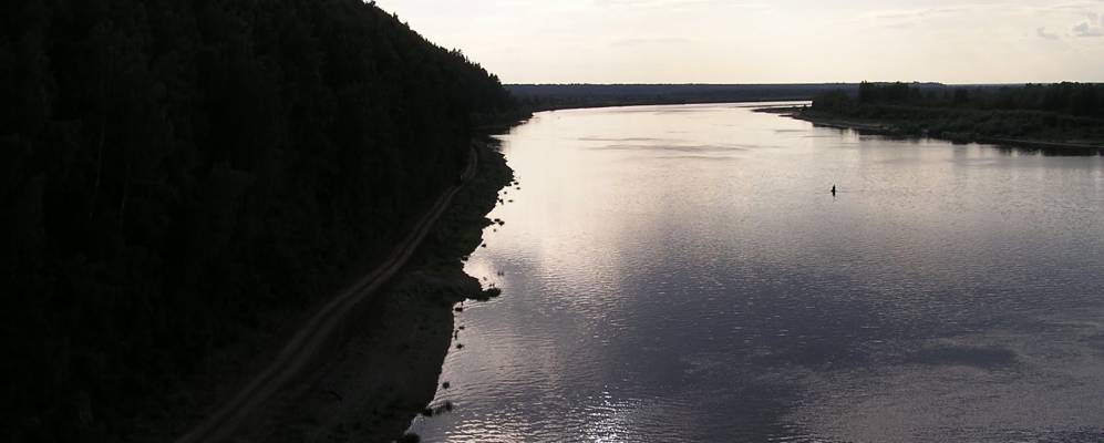 Фотография Орешника