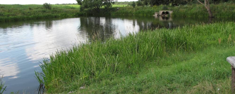 Фотография Вальков