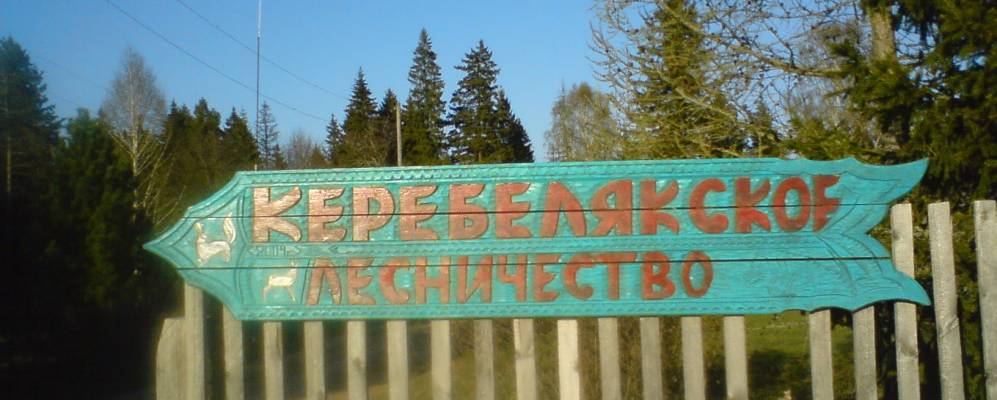 
            Фотография Керебеляка