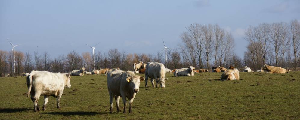 
            Фотография Ной-Ретвиша