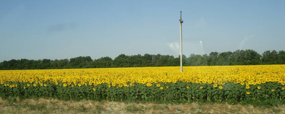 Фотография Сибилева