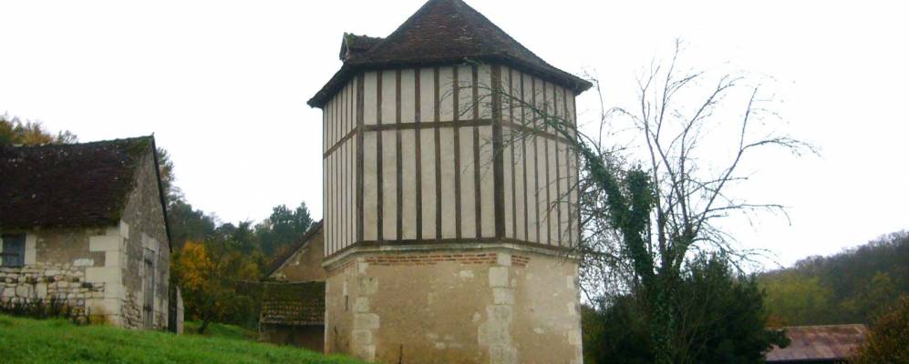 
            Фотография Куффи