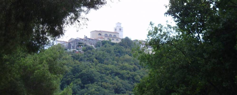 
            Фотография Мошценичка-Драги