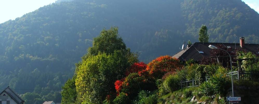 
            Фотография Арнольдштайна