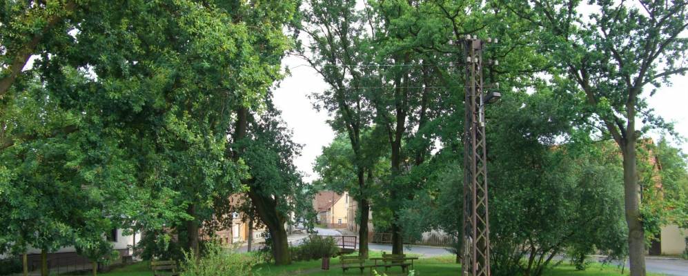 
            Фотография Нидерндоделебена